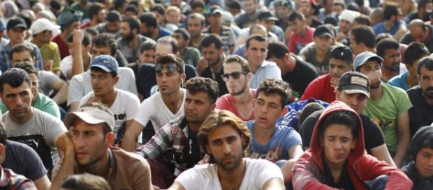 200 mln euro na walkę z przestępstwami seksulanymi imigrantów 200 mln euro na walkę z przestępstwami seksulanymi imigrantów
