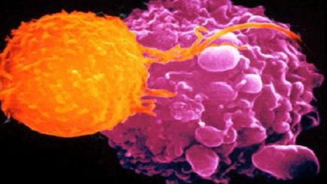 Hackerare le cellule contro i tumori