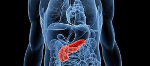 Due batteri del cavo orale associati all'insorgenza del cancro al pancreas.