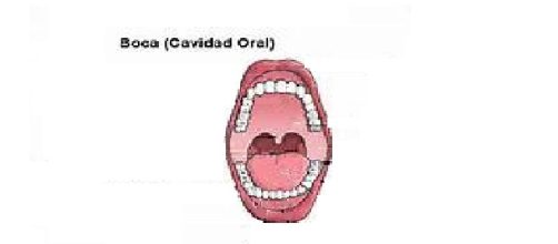 síndrome de boca ardiente, o síndrome de ardor bucal