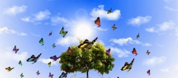 La Terra è vita. Solo amandola rispetterai te stesso. La Terra è vita. Solo amandola rispetterai te stesso.
