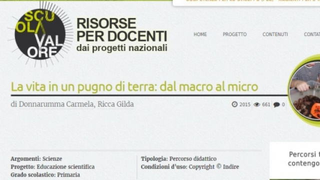 attivit&agrave; didattica scuola primaria