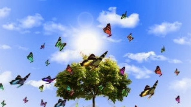 La Terra &egrave; vita. Solo amandola rispetterai te stesso.