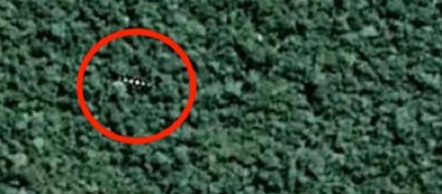 Antico' UFO avvistato sopra foresta amazzonica. Antico' UFO avvistato sopra foresta amazzonica.