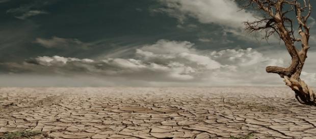 Climate change effects / Photo by _Marion, pixabay. Climate change effects / Photo by _Marion, pixabay.