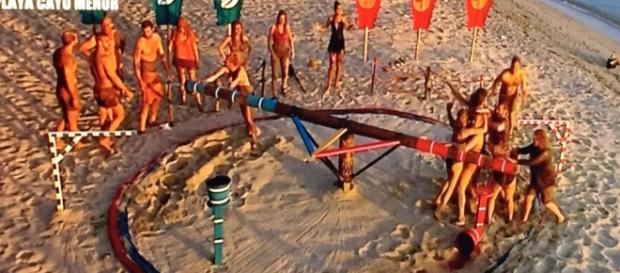 Los concursantes luchan por vivir en Plaua Paraíso Los concursantes luchan por vivir en Plaua Paraíso
