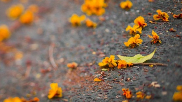 E' arrivato anche l'Earth Day 2016.