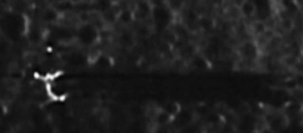 Anomali lunare dell'utente secureTeam10 Anomali lunare dell'utente secureTeam10