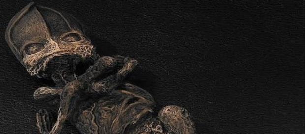 Il corpo mummificato del presunto extraterrestre Il corpo mummificato del presunto extraterrestre