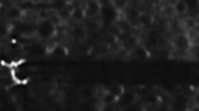 Anomali lunare dell'utente secureTeam10