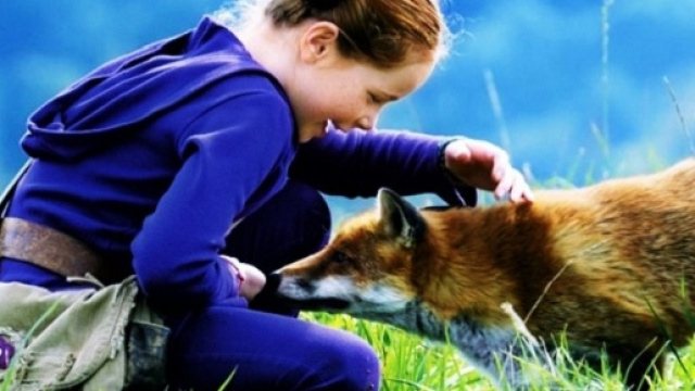 Le volpi stanno progressivamente subendo un processo di inurbamento.