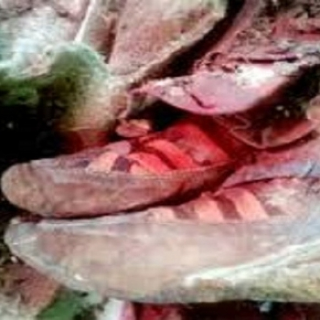 Calzado de la momia encontrada