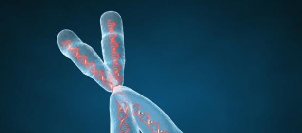 La enfermedad de Huntington es causada por un defecto genético en el cromosoma N.° 4. La enfermedad de Huntington es causada por un defecto genético en el cromosoma N.° 4.