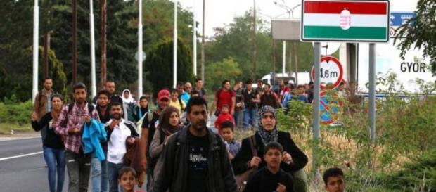 Migranti al confine tra Ungheria ed Austria Migranti al confine tra Ungheria ed Austria