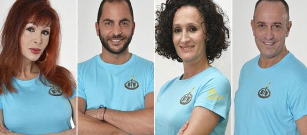 Los cuatro primeros nominados de SV 2016. Los cuatro primeros nominados de SV 2016.