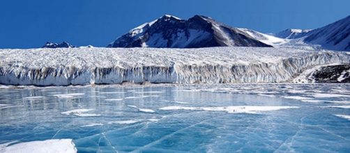 El lago subglacial podría albergar especies de animales desconocidos hasta ahora