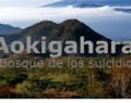 Aokigahara: El bosque de los suicidios