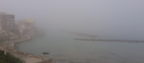 Lupa salentina e nebbia fitta sul Salento.
