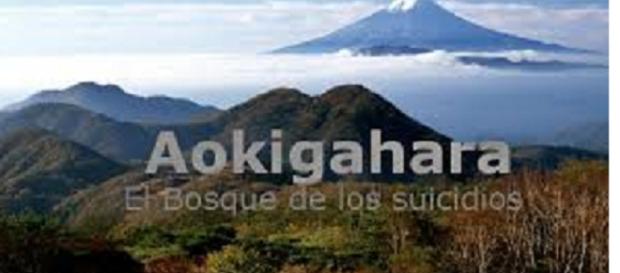 Aokigahara : El Bosque de los suicidios Aokigahara : El Bosque de los suicidios