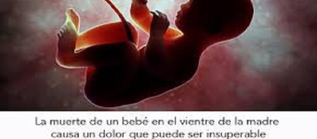 Frase sobre la perdida del embarazo Frase sobre la perdida del embarazo