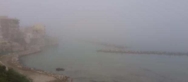 Lupa salentina e nebbia fitta sul Salento. Lupa salentina e nebbia fitta sul Salento.