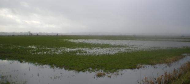 Ne nous perdons pas dans les marais de la colère Ne nous perdons pas dans les marais de la colère