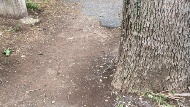 Marciapiede via Ugo della Seta