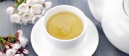 Además de sano,Té Blanco tiene un rico sabor