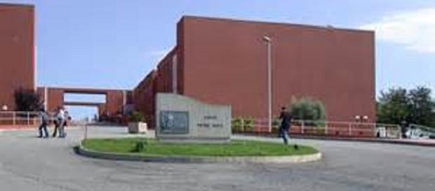 Unical, il percorso formativo non aiuta gli studenti Unical, il percorso formativo non aiuta gli studenti