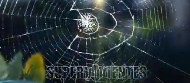 ¡Exclusiva! Tres bajas de última hora en ‘Supervivientes’ ¡Exclusiva! Tres bajas de última hora en ‘Supervivientes’
