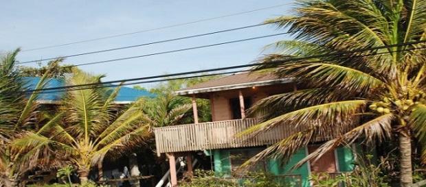 La isla se encuentra en una emergencia La isla se encuentra en una emergencia