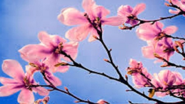 Musica: le nuove canzoni di primavera