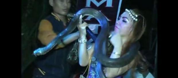 Cantora indonésia morrem em palco devido a picada de cobra Cantora indonésia morrem em palco devido a picada de cobra