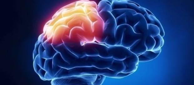 falta de sueño provoca cambios en el cerebro falta de sueño provoca cambios en el cerebro