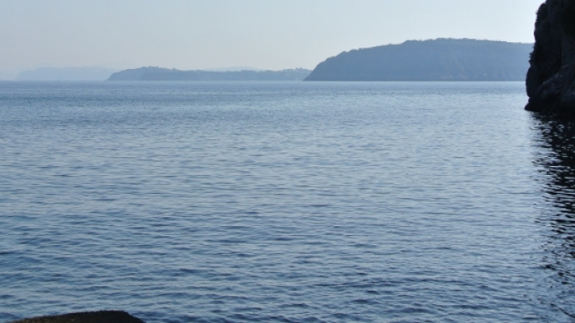 Mare di Ischia foto di Marina Zini