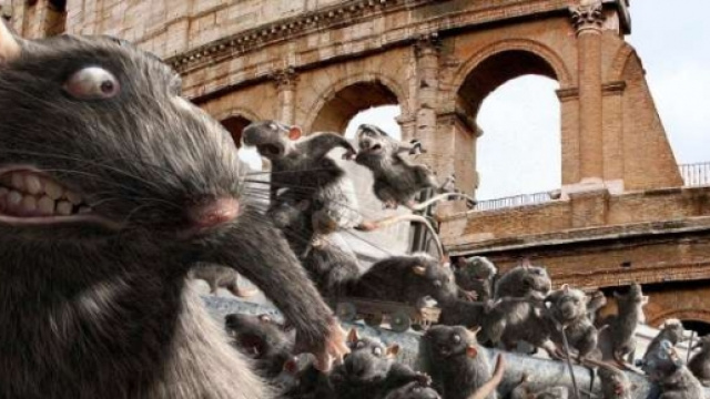 Roma, ordinanza contro emergenza topi