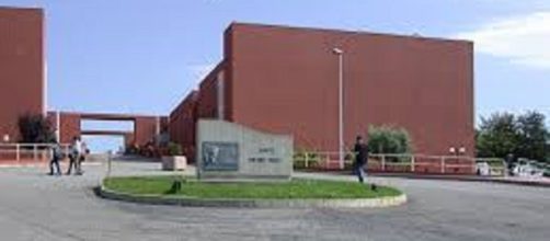 Unical: scoperte nuove molecole contro l'HIV