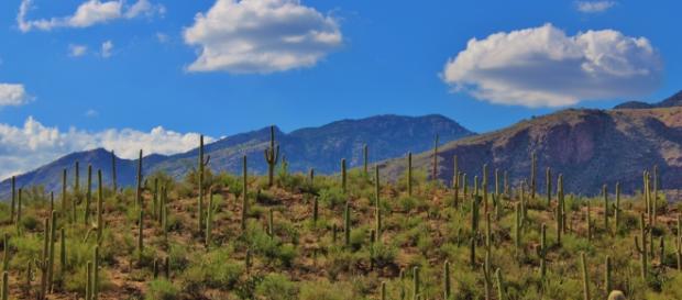 How do you get water out of the desert? How do you get water out of the desert?