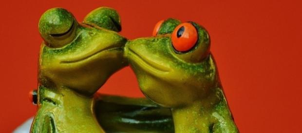 Primavera 2016: descubre tu horóscopo del amor Primavera 2016: descubre tu horóscopo del amor