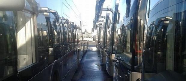 Autobus del servizio Roma TPL incolonnati Autobus del servizio Roma TPL incolonnati
