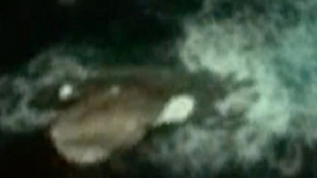 Ufo a largo dell'Antartide, immagini tratte da Google Earth