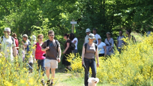 Une trentaine de randonnées à thème sont proposées lors du Festival.