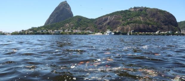 Baía de Guanabara (RJ) sofre com poluição e contaminantes Baía de Guanabara (RJ) sofre com poluição e contaminantes