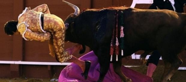 torero incornato durante una corrida a Siviglia torero incornato durante una corrida a Siviglia