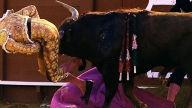 torero incornato durante una corrida a Siviglia