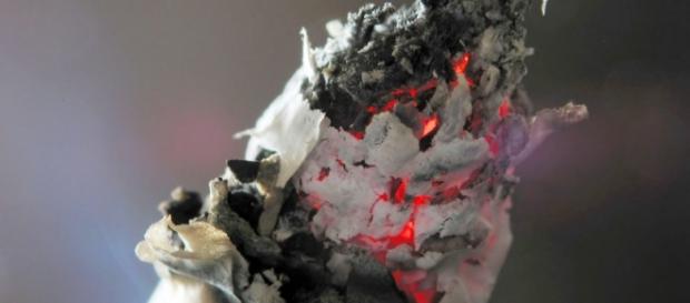 FDA sparks lawsuit, ignites battle over vaping regulations. Image courtesy Andrew Magill, Flickr (CC BY 2.0) FDA sparks lawsuit, ignites battle over vaping regulations. Image courtesy Andrew Magill, Flickr (CC BY 2.0)