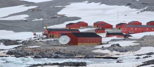 Lavoro in Antartide per un anno