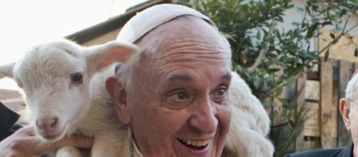 Papa Francesco contro chi ama troppo gli animali domestici, ignorando le sofferenze altrui.