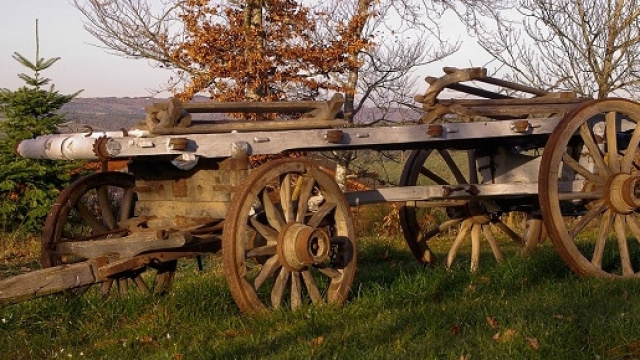 La seconda edizione di 'Il contadino cerca moglie'