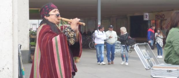 un musicista peruviano suona il flauto di Pan durante il Festival delle Culture un musicista peruviano suona il flauto di Pan durante il Festival delle Culture